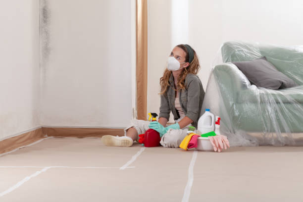 Reliable Mold Cleanup contractor in Austin, MN by WQB Mold Removal